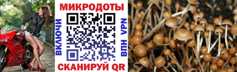 Галлюциногенные грибы прущие грибы Купить Разумное